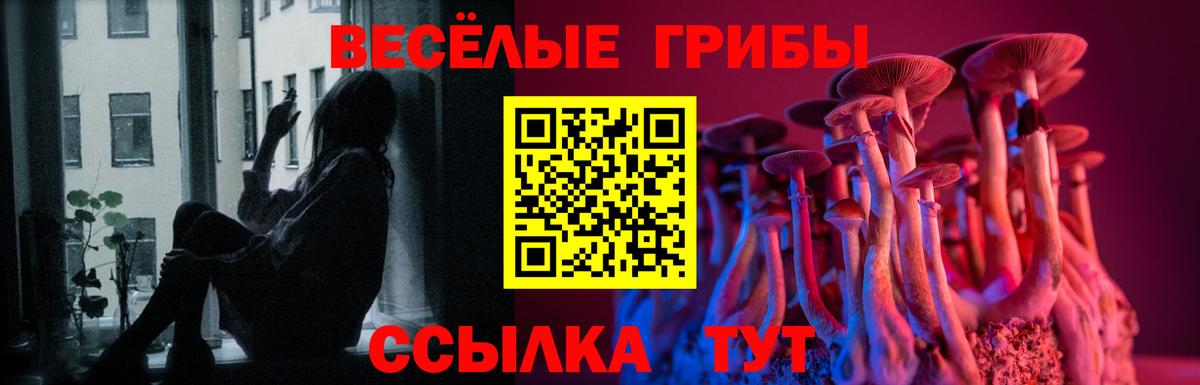 Урус-Мартан  Галлюциногенные грибы мицелий  Вход с VPN  Псилоцибиновые грибы мухоморы 